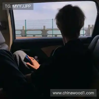 何眉愉