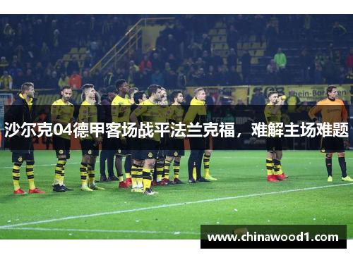 沙尔克04德甲客场战平法兰克福，难解主场难题