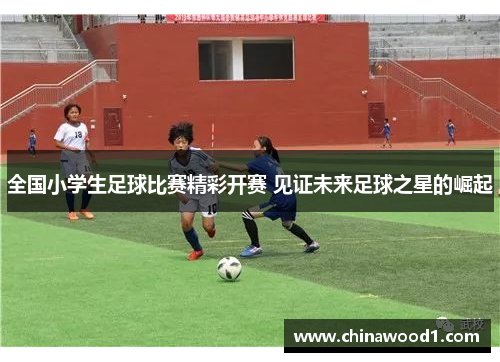 全国小学生足球比赛精彩开赛 见证未来足球之星的崛起