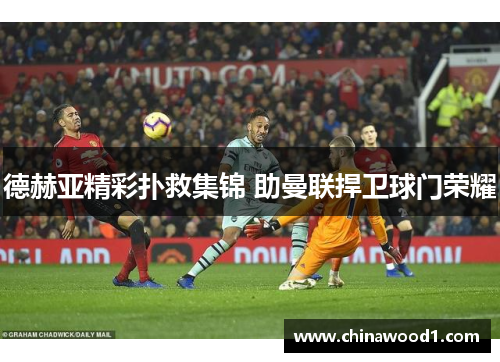 德赫亚精彩扑救集锦 助曼联捍卫球门荣耀